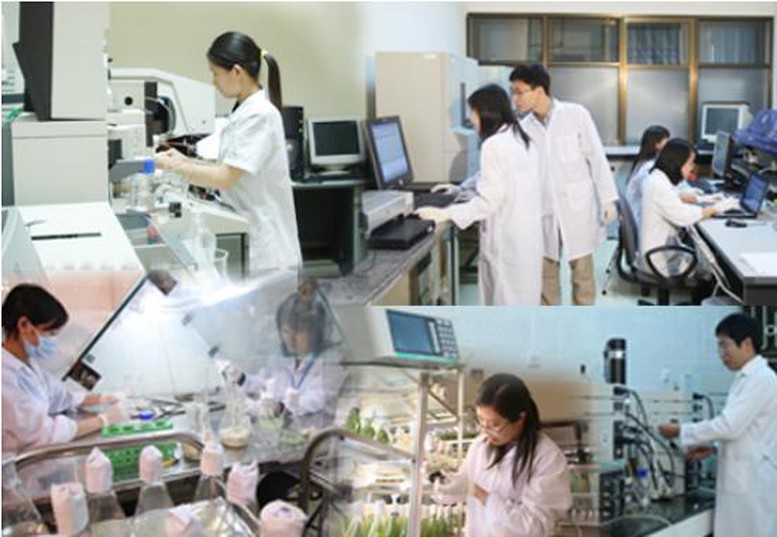 Trách nhiệm người đứng đầu trong triển khai nhiệm vụ phát triển KHCN, chuyển đổi số của cơ quan, tổ chức