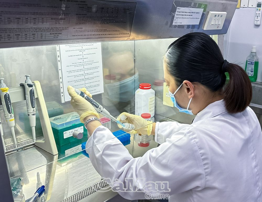 Tỉnh Cà Mau quyết tâm tạo đột phá thúc đẩy phát triển khoa học và công nghệ (KH&CN), đổi mới sáng tạo và chuyển đổi số, góp phần nâng cao năng lực cạnh tranh và phát triển bền vững của tỉnh.