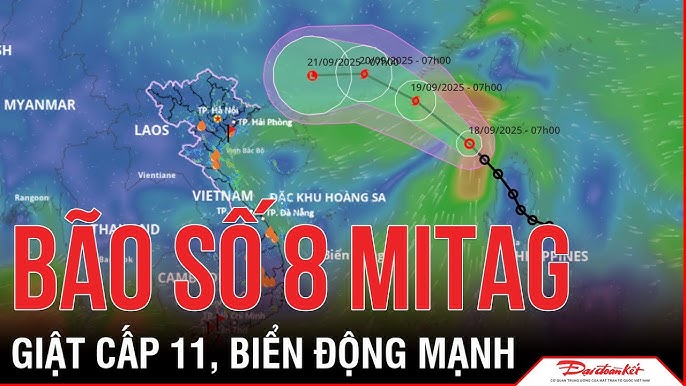 Chủ động phòng ngừa ứng phó với cơn Bão số 8 (Bão Mitag)
