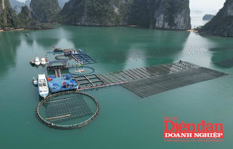 Tập trung nguồn lực cho khoa học công nghệ, thúc đẩy phát triển bền vững