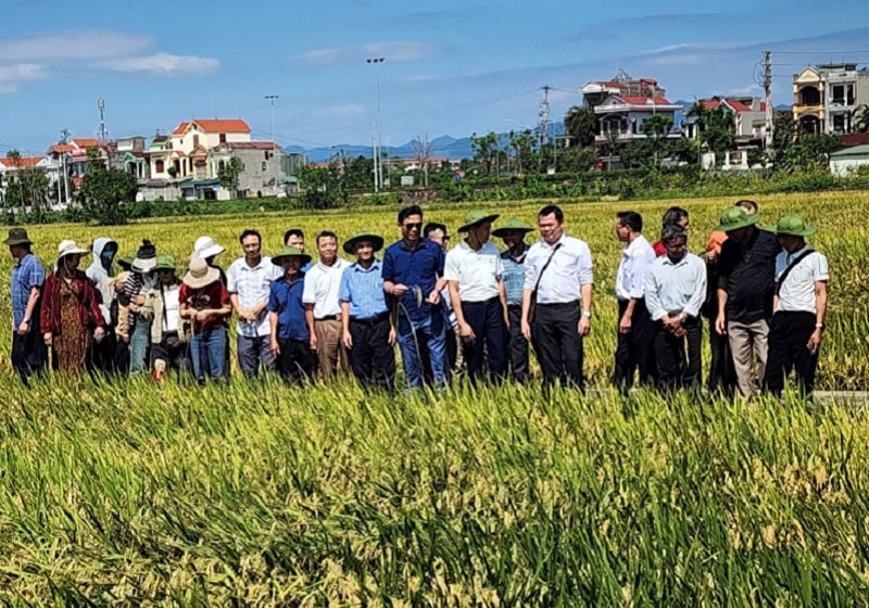 Quảng Ninh đột phá nông nghiệp nhờ cơ giới hóa và chuyển đổi số