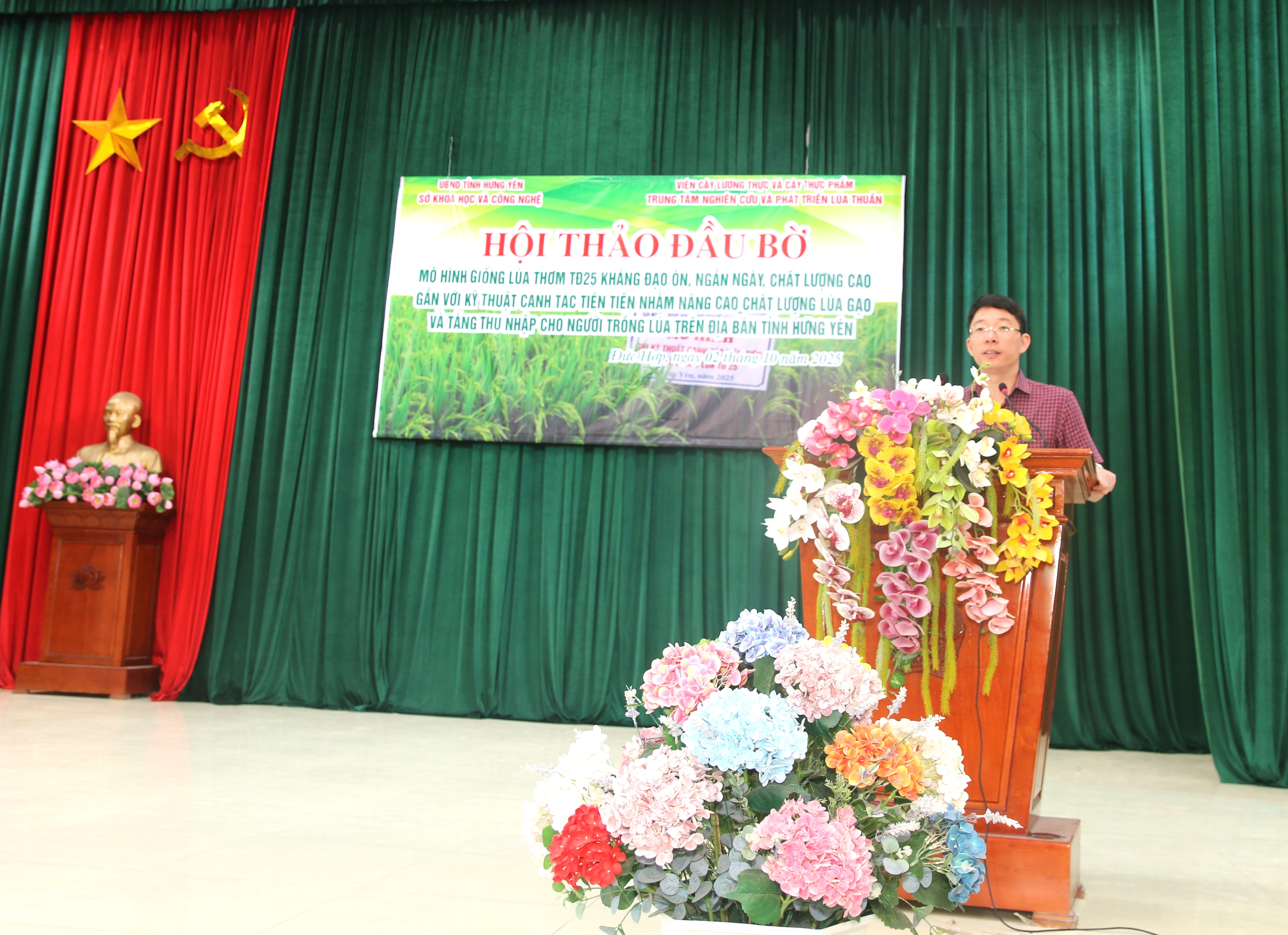 Ứng dụng giống lúa TĐ25 kháng đạo ôn tại Hưng Yên: Hiệu quả từ mô hình đầu bờ