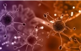 Vaccine Trung Quốc - Singapore ức chế tế bào ung thư gốc, ngăn tái phát và di căn