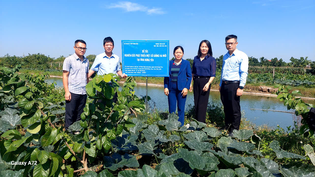 Sở KH&CN Hưng Yên kiểm tra tiến độ nhiệm vụ “Nghiên cứu phát triển một số giống na mới tại tỉnh Hưng Yên”