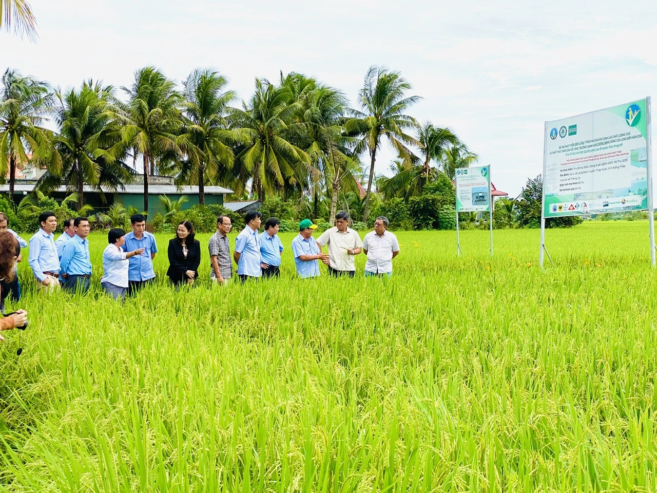 Người Việt đang vẽ lại bản đồ gạo thế giới