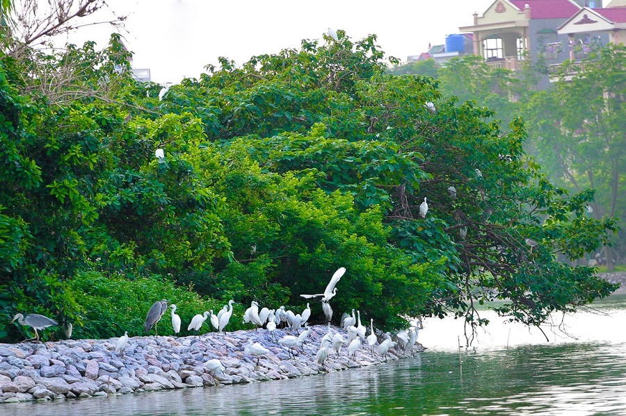 Hưng Yên tăng cường bảo vệ môi trường, chủ động phòng, chống thiên tai, thích ứng với biến đổi khí hậu