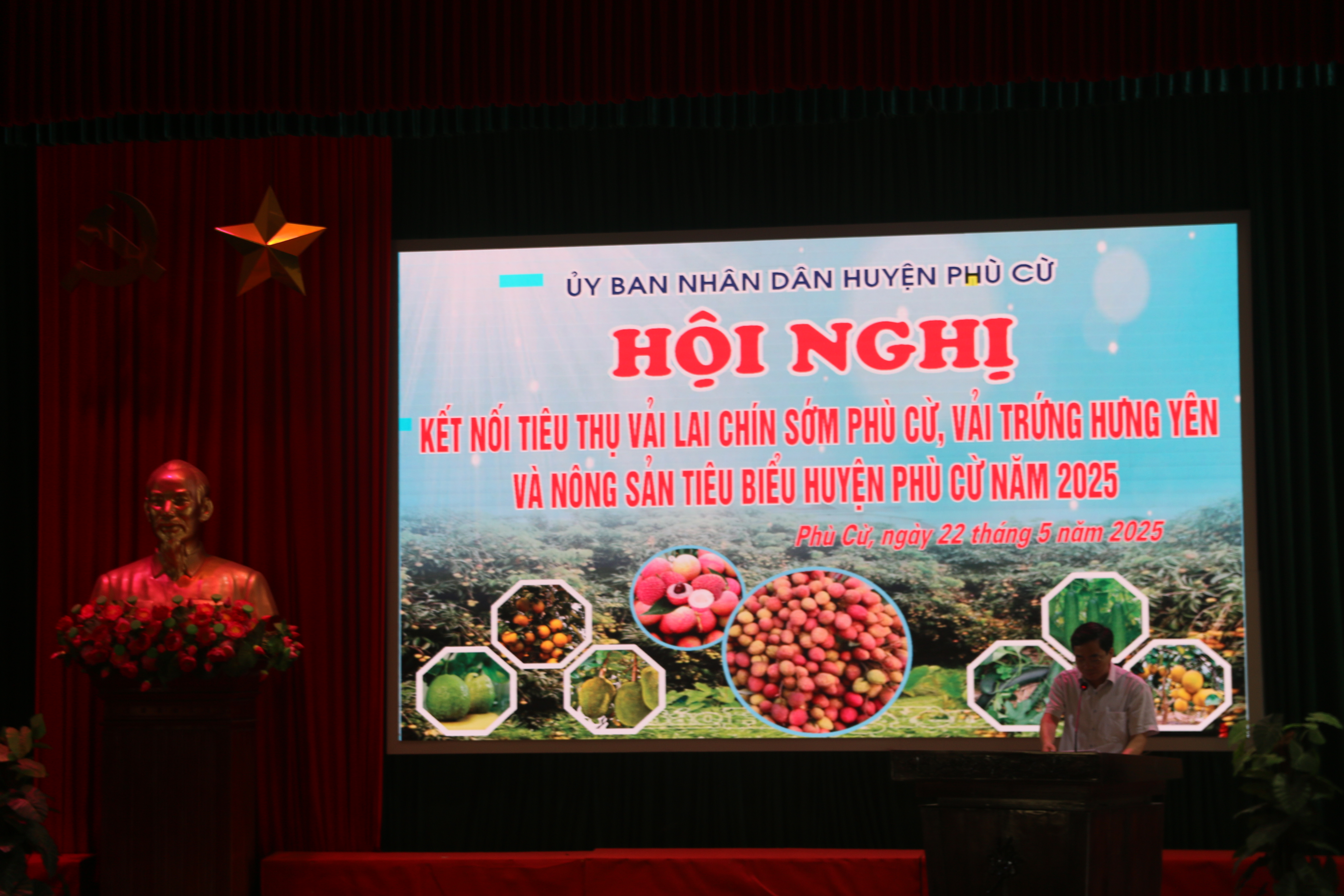 HỘI NGHỊ KẾT NỐI TIÊU THỤ VẢI LAI CHÍN SỚM PHÙ CỪ, VẢI TRỨNG HƯNG YÊN VÀ NÔNG SẢN TIÊU BIỂU HUYỆN PHÙ CỪ NĂM 2025
