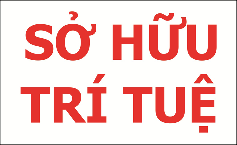 Kết quả Hội nghị quản lý nhà nước về sở hữu trí tuệ năm 2024